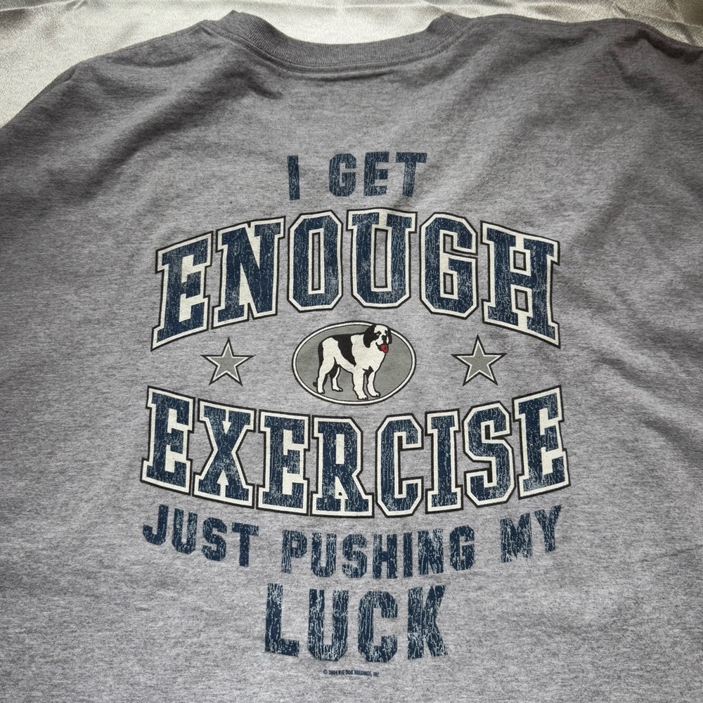 Big dogs grey hanes t shirt